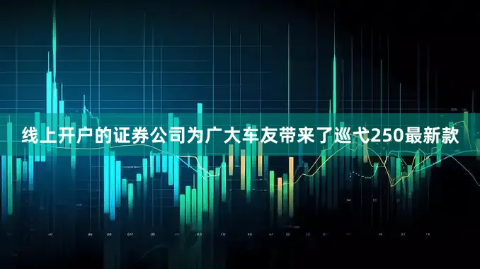 线上开户的证券公司为广大车友带来了巡弋250最新款