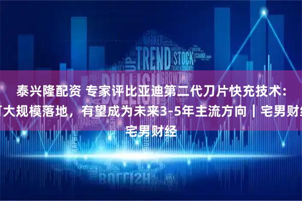 泰兴隆配资 专家评比亚迪第二代刀片快充技术：可大规模落地，有望成为未来3-5年主流方向｜宅男财经
