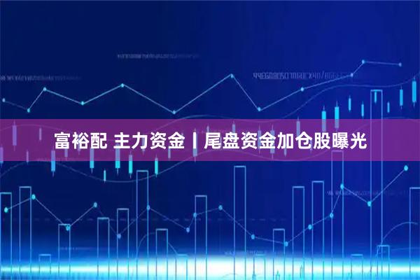富裕配 主力资金丨尾盘资金加仓股曝光