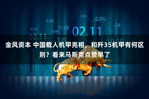 金风资本 中国载人机甲亮相，和歼35机甲有何区别？看来马斯克点赞早了
