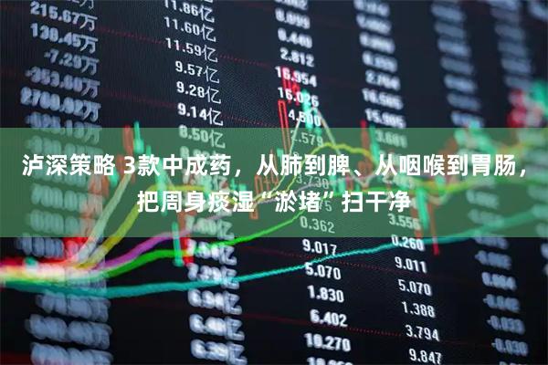 泸深策略 3款中成药，从肺到脾、从咽喉到胃肠，把周身痰湿“淤堵”扫干净