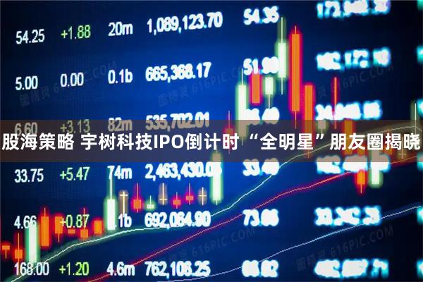 股海策略 宇树科技IPO倒计时 “全明星”朋友圈揭晓